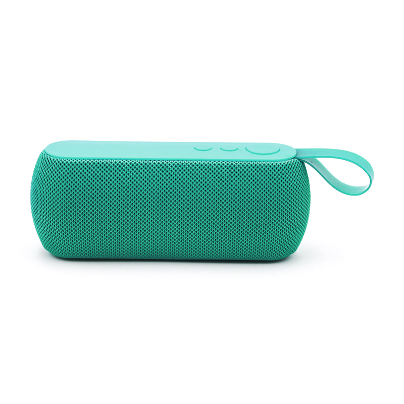 Mini TWS FM Radio Bluetooth Speaker